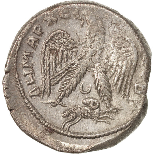 Monnaie,
Gordien III,
Tétradrachme