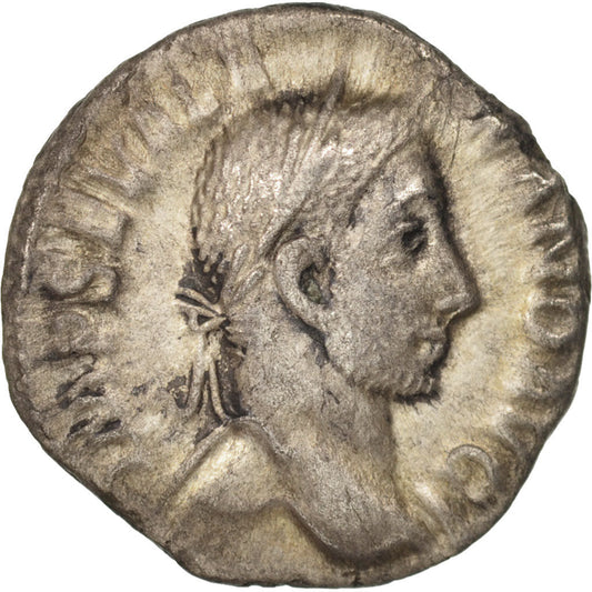 Pièce de monnaie, 
  
  Sévère Alexandre, 
  
  Denier