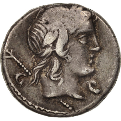 Pièce de monnaie, 
  
  Crépusius, 
  
  Denier
