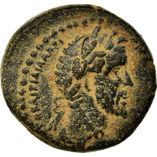 Pièce de monnaie, 
  
  Cyrrhestique, 
  
  Antonin le Pieux