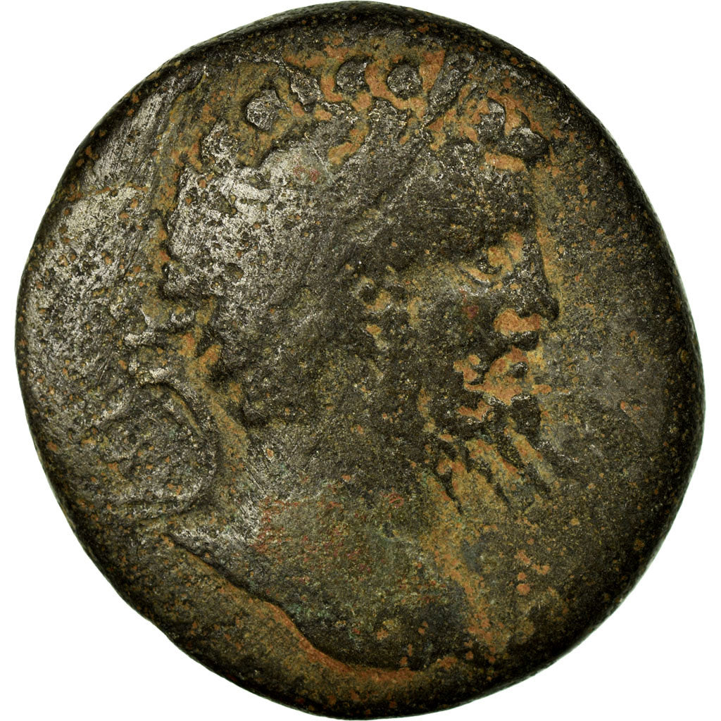 Pièce de monnaie, 
  
  Pontos, 
  
  Septime Sévère