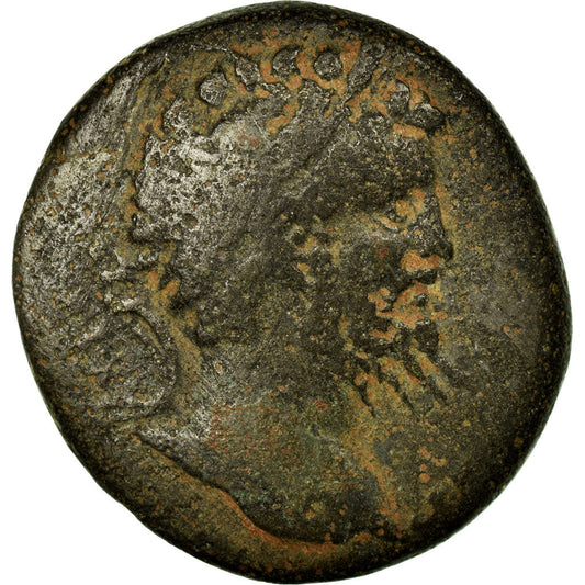 Pièce de monnaie, 
  
  Pontos, 
  
  Septime Sévère