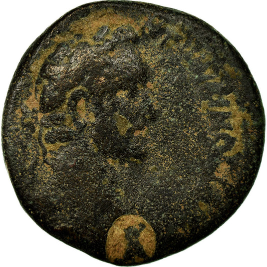 Pièce de monnaie, 
  
  Séleucis et Piérie, 
  
  Antonin le Pieux