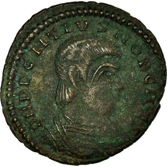 Pièce de monnaie, 
  
  Décence, 
  
  Maiorina