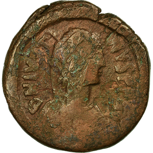 Pièce de monnaie, 
  
  Justin I, 
  
  Follis