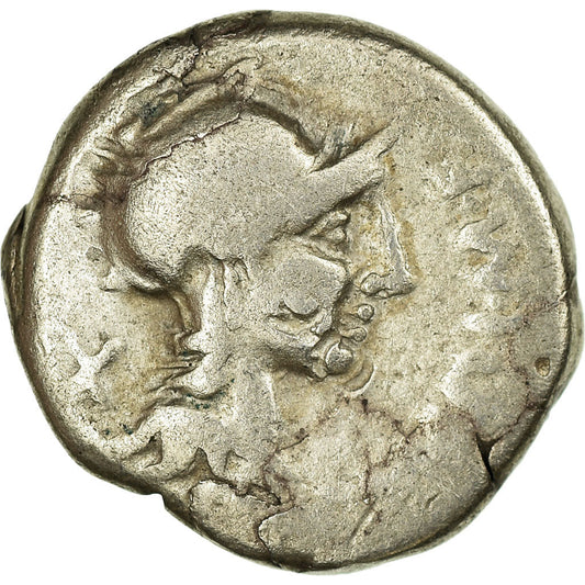 Pièce de monnaie, 
  
  Cipia, 
  
  Denier