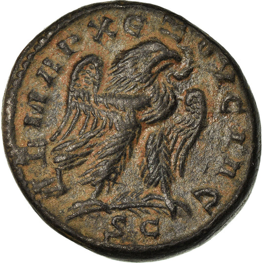 Pièce de monnaie, 
  
  Séleucis et Piérie, 
  
  Herennius Etruscus