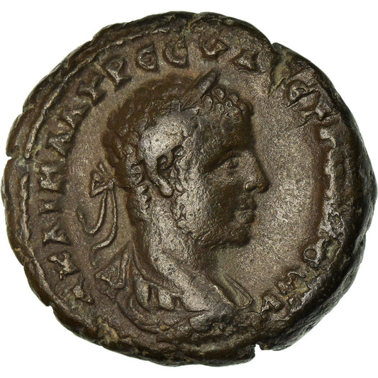 Pièce de monnaie, 

Égypte, 

Sévère Alexandre