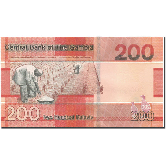Billet de banque, 
  
  Gambie, 
  
  200 Dalasis